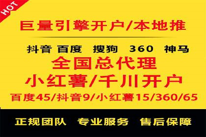 网络推广中的竞价广告：成功案例解析